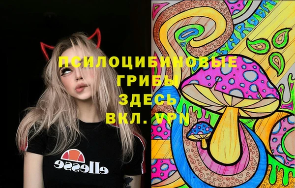 крисы Заводоуковск