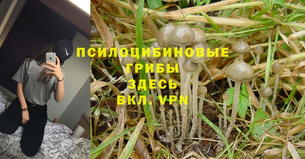 прущие крисы Зеленодольск