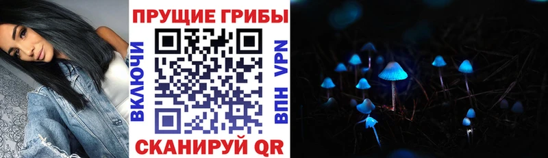 Псилоцибиновые грибы прущие грибы  kraken ССЫЛКА  Инза  где купить наркоту 